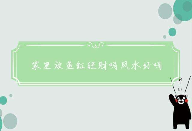 家里放鱼缸旺财吗风水好吗
